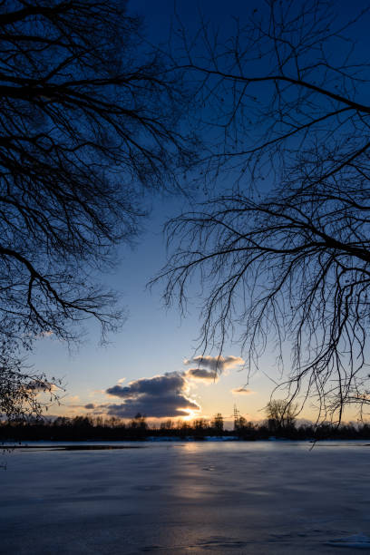 istock colorful winter sunset with light rays coming through the trees 917237532