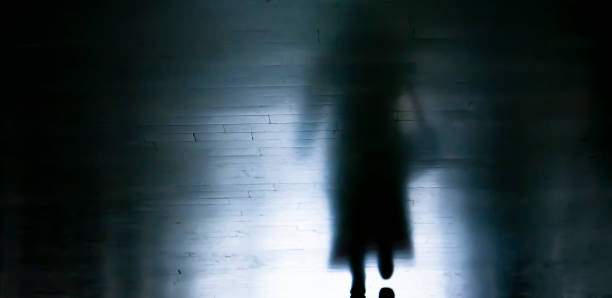 sombra de una mujer de pie en el callejón oscuro - spooky corridor horror entrance hall fotografías e imágenes de stock