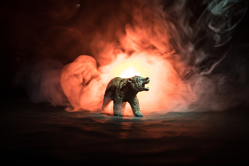 Oso enojado detrás el cielo nublado de fuego. La silueta de un oso en el fondo oscuro del bosque de niebla. Enfoque selectivo photo