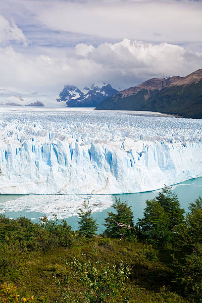 glaciar perito moreno - patagonia ice shelf vertical argentina fotografías e imágenes de stock