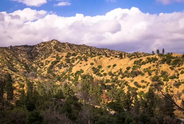 Photo of Hollywood Hills and Griffith Park. Attractions in Los Angeles