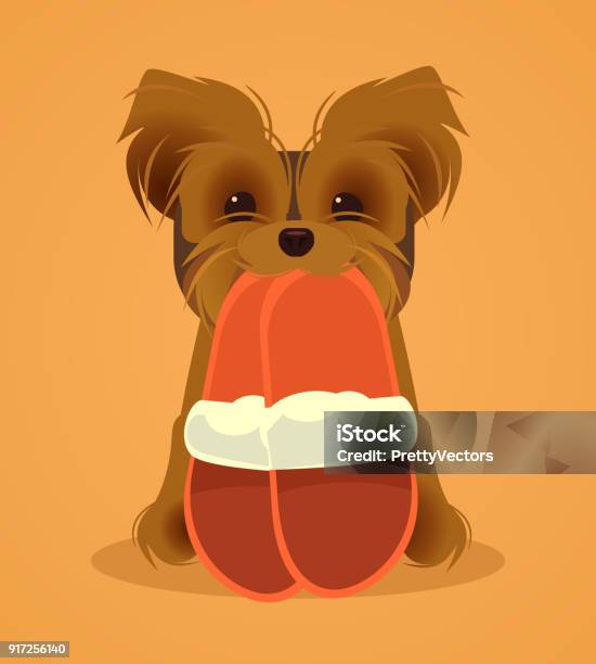 Small Dog Character Bring Slippers Stock Illustration - Download Image Now - Dog, Yorkshire Terrier, Animal