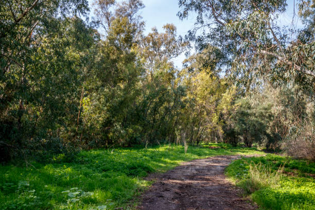 istock Landscape with a rustic clay road blurred after the rain 917262416