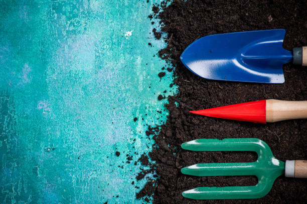 istock Gardening hobby works concept  border background 917265856