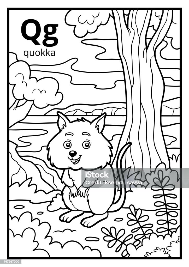 Coloring book, colorless alphabet. Letter Q, quokka Coloring book for children, colorless alphabet. Letter Q, quokka Alphabet stock vector