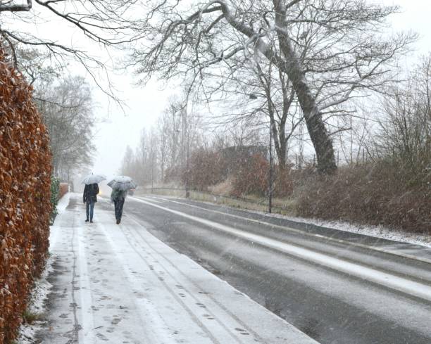 istock Two pedestrians with umbrellas in a blizzard 917267028