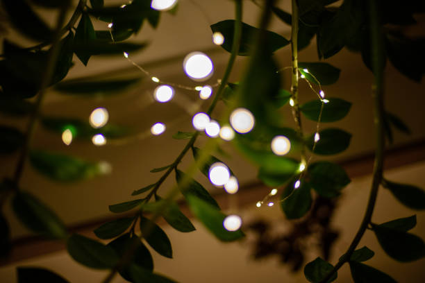 istock Abstract Festive background. Christmas and New Year feast bokeh background with copyspace. 917272638