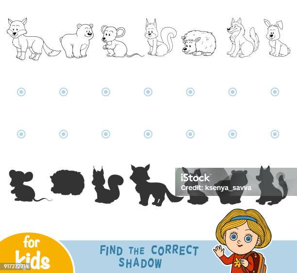 Find The Correct Shadow Black And White Forest Animals Stock Illustration - Download Image Now