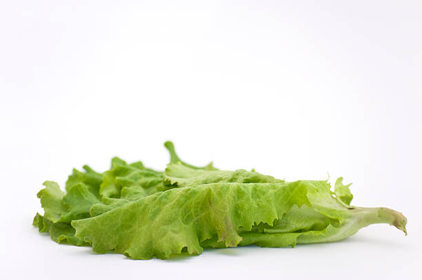 Cтоковое фото салат