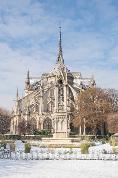 istock Notre Dame Cathedral in Paris 917288672