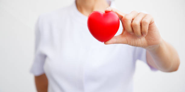 Selective focus of red heart held by female nurse's hand, representing giving all effort to deliver high quality service mind to patient. Professional, Specialist in white uniform isolated on white background. enfoque selectivo del rojo corazón de la mano de la enfermera femenina, que representa dar todo esfuerzo para entregar la cuenta de servicio de alta calidad al paciente. profesional, especialista en uniforme blanco aislado sobre fondo blanco.