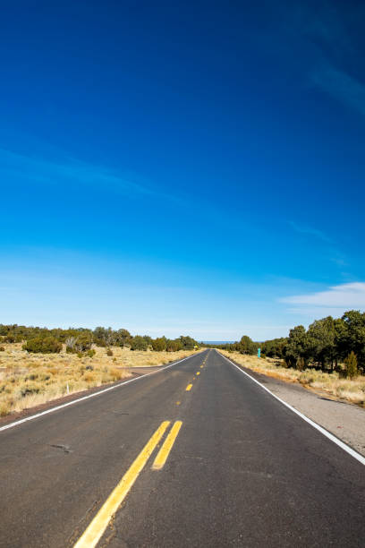 istock County road in Arizona, USA 917292216