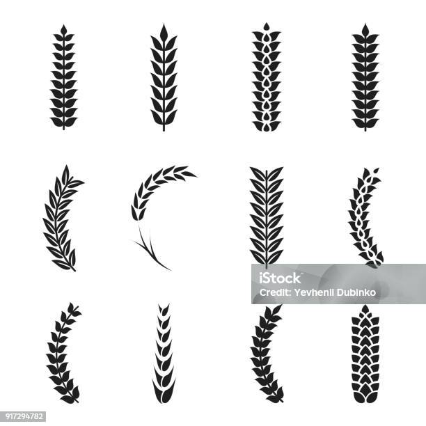 Vektorweizenohrenicons Hafer Und Weizen Körner Stock Vektor Art und mehr Bilder von Weizen - Weizen, Pflanzenstängel, Vektor