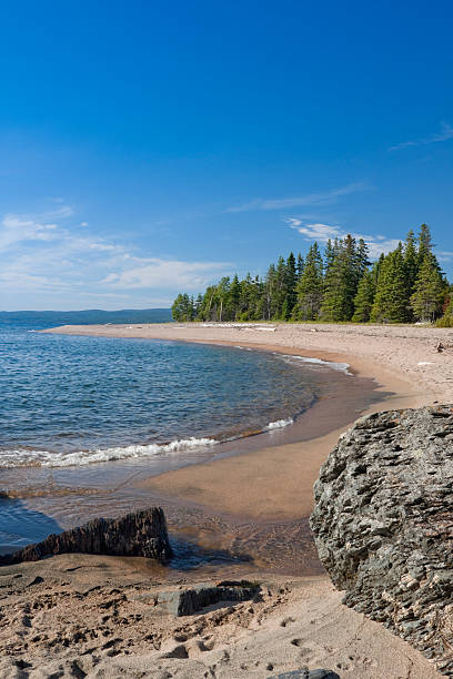istock Sandy beach with trees, Lake Superior 91729658