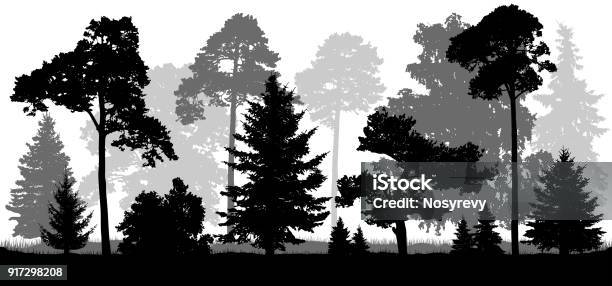 Coniferous Forest Trees Set Silhouette Background Of Nature Stock Illustration - Download Image Now