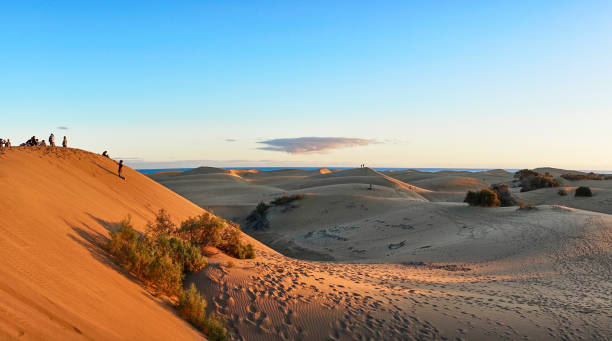 istock Sunset over sand dunes on Canary islands 917300260