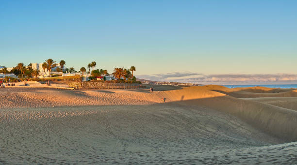 istock Sunset over sand dunes on Canary islands 917302490