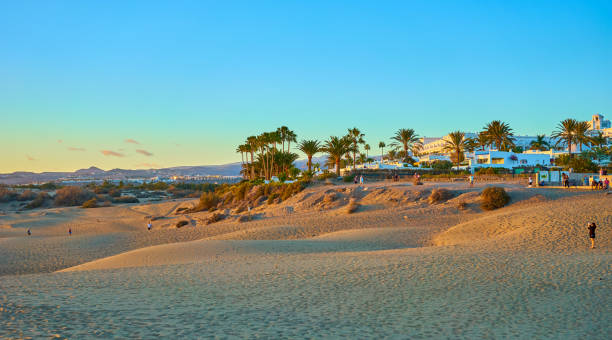 istock Sunset over sand dunes on Canary islands 917302600