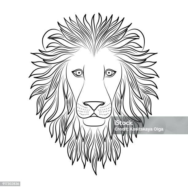 Isolated Black Outline Head Of Lion On White Background Line Cartoon King  Of Animals Portrait Curve Lines Page Of Coloring Book Stock Illustration -  Download Image Now - iStock