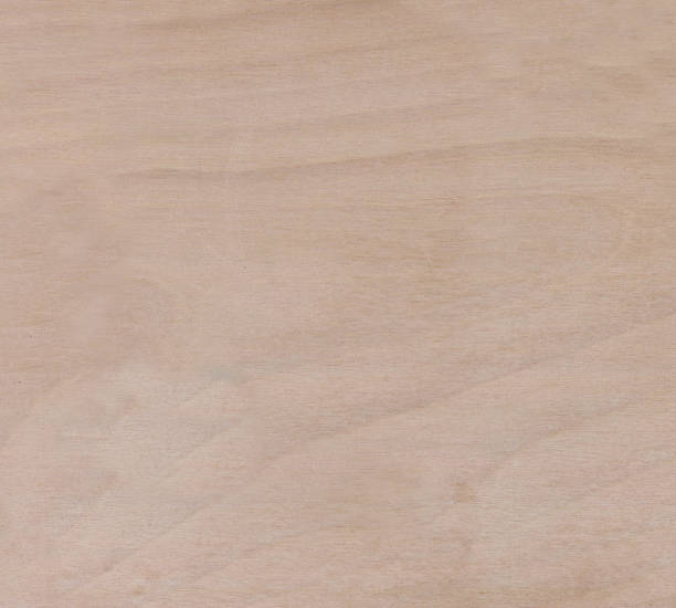 istock Grunge  textured wooden background 917303028