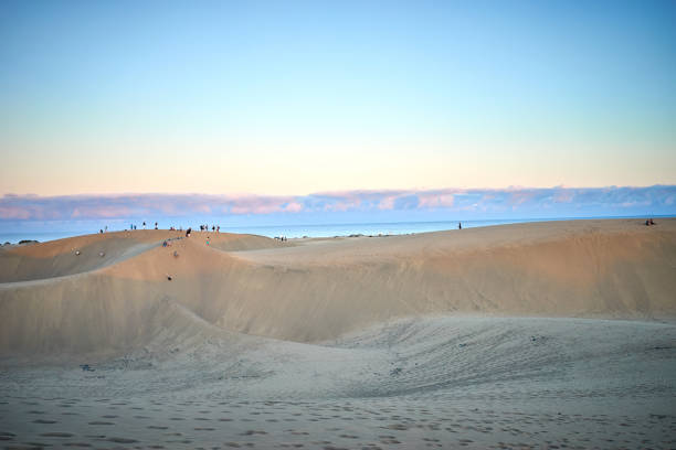 istock Sunset over sand dunes on Canary islands 917303512