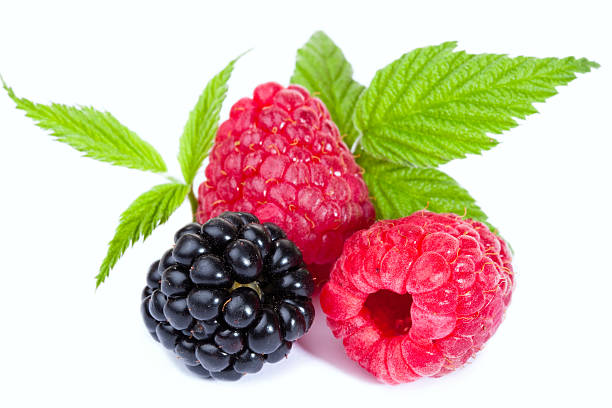 istock Mixed Raspberies and Blackberry with leaves 91730726