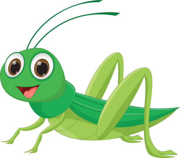 illustrazioni stock, clip art, cartoni animati e icone di tendenza di cartone animato cavalletta carino - grasshopper