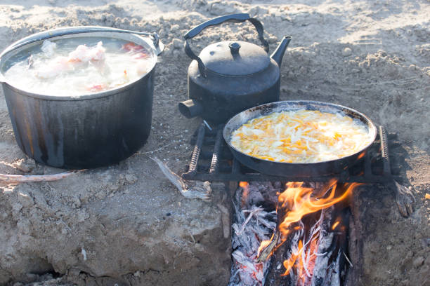 istock cooking on the nature of the stake 917311076