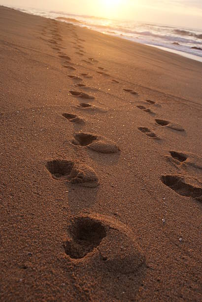 istock Towards the new day 91731132