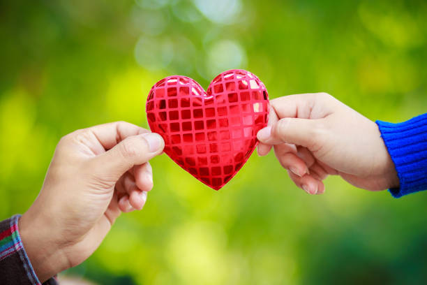 istock Human hand showing holding heart sign 917315802