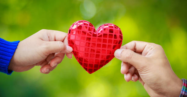 istock Human hand showing holding heart sign 917315808