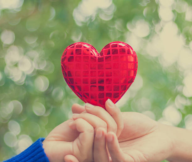 istock Human hand showing holding heart sign 917315874