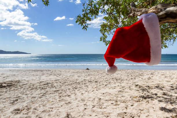 istock Christmas at the beach 917318404