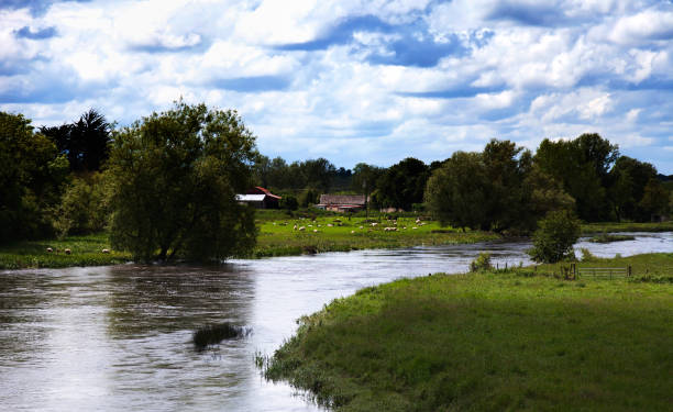 istock Natural Irish landscape, Boyne valley, Ireland 917318416