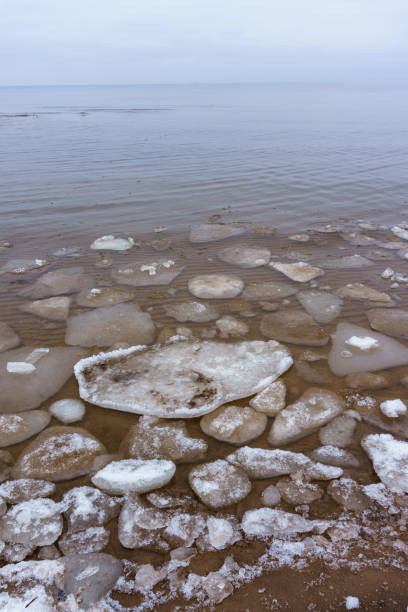 istock Frozen ice crystals on the sea beach 917325660