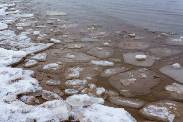 istock Frozen ice crystals on the sea beach 917325686