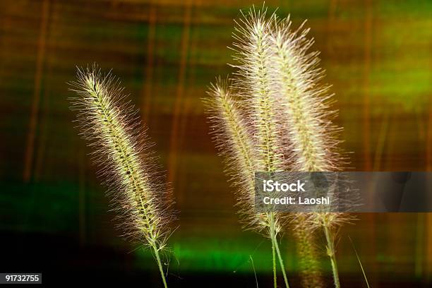 Wind Stockfoto und mehr Bilder von Abstrakt - Abstrakt, Bewegungsunschärfe, Bildhintergrund