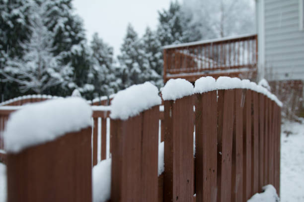 istock Fence line in the snow 917328680