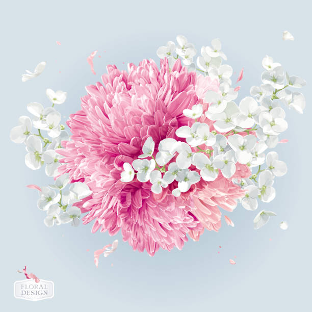 układ wektorów chryzantemy i kwiatu jabłoni - arrangement backgrounds pink beauty in nature stock illustrations