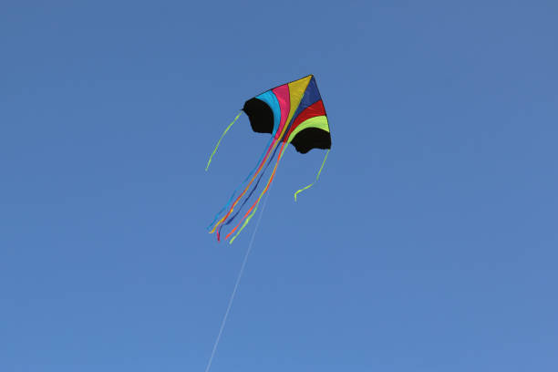 istock Colourful Kite flying in the blue sky 917333462