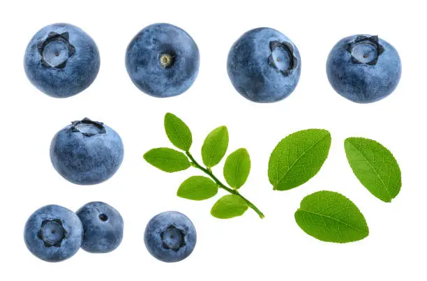 Photo of Blueberries isolated on white background without shadow set