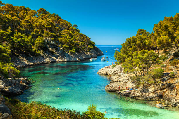 Amazing Calanques De Port Pin in Cassis, near Marseille, France Wonderful viewpoint from the forest, Calanques De Port Pin bay, Calanques National Park near Cassis fishing village, Provence, South France, Europe casis stock pictures, royalty-free photos & images