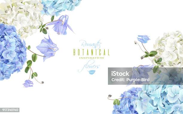 Hydrangea Corner Banner Blue Stock Illustration - Download Image Now - Blue, Cut Out, Flower