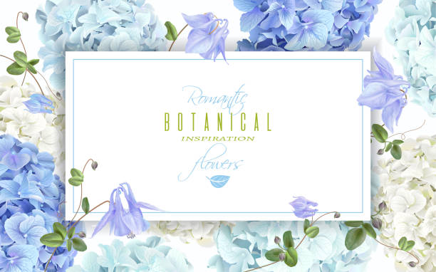 Hydrangea horizontal banner blue Vector horizontal banner with blue and white hydrangea flowers on white background. Floral design for cosmetics, perfume, beauty care products. Can be used as greeting card, wedding invitation blue flowers stock illustrations