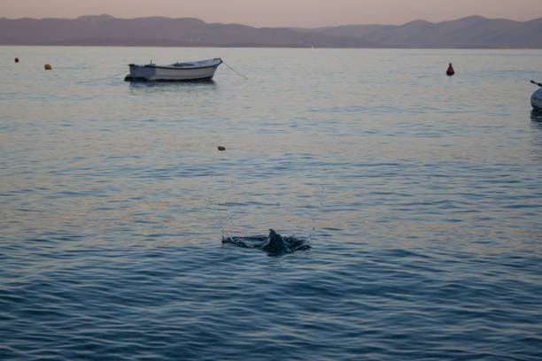istock Throwing stones to sea to bounce on water surface 917344206