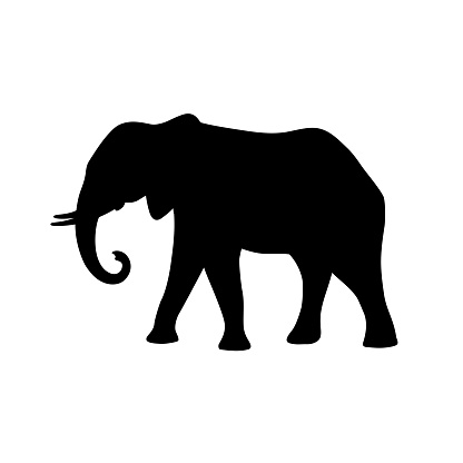 Black isolated silhouette of elephant on white background. Side view