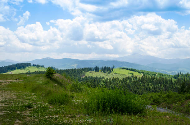 istock Carpathian mountains in summer 917360546