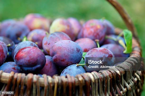 Ciruelas En La Cesta Foto de stock y más banco de imágenes de Ciruela - Ciruela, Cesta, Color - Tipo de imagen