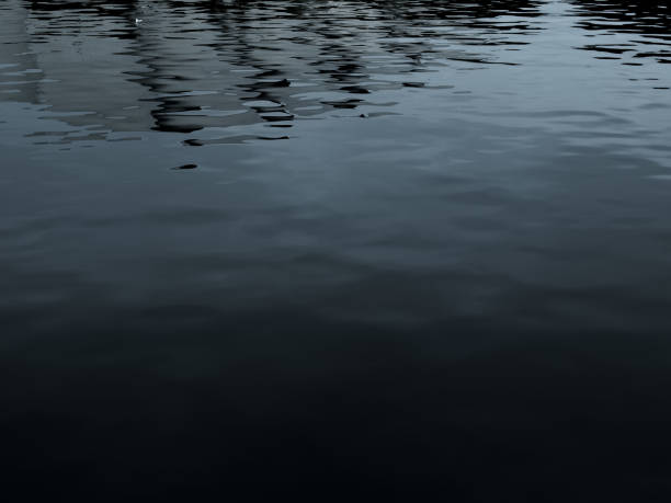 istock grunge dark black water texture background 917366966