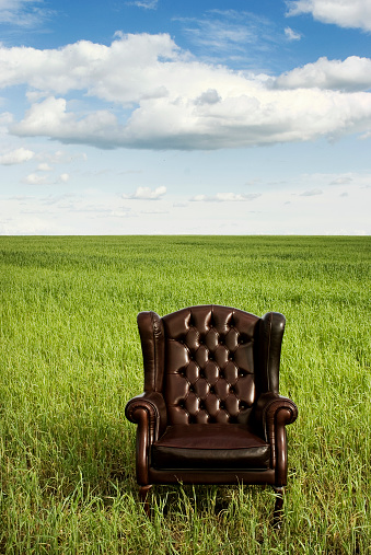 Brown leather armchair in green field